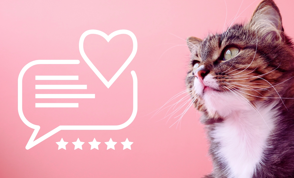 Instinct Cat Food Reviews