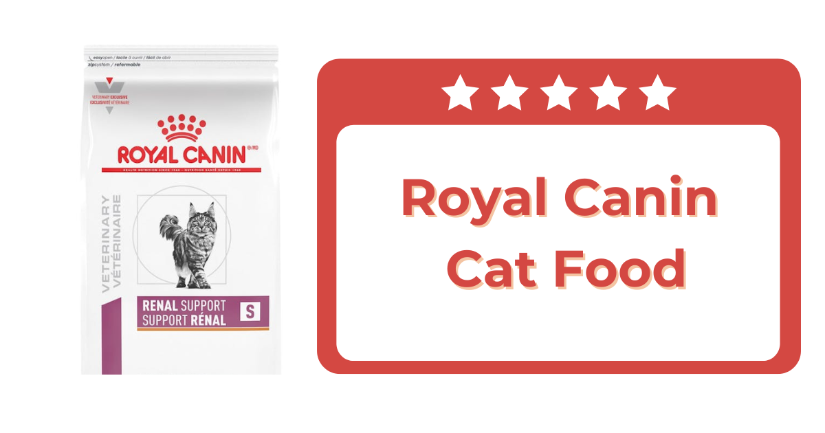 Hills Prescription Cat Food vs Royal Canin - Best Choice? 2025