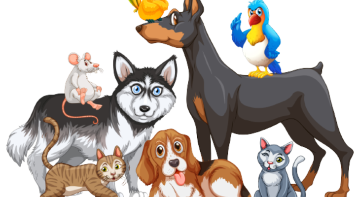 cropped-Domanician-pets-banner-cover.png